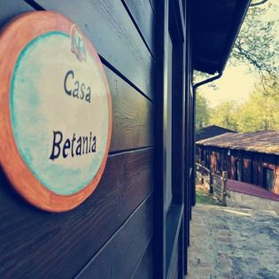 Al villaggio shalom ogni casetta ha il nome di un luogo caro a Gesu'... Con calme ve le vorremmo ripresentare affinché il cuore di ciascuno nella semplicità possa fare ritorno ad un luogo del cuore. Oggi tocca a "Betania". Li lasciò, uscì fuori dalla città, verso Betània, e là trascorse la notte. Betania è identificata come il villaggio di Maria e Marta, dove Gesù resuscita il loro fratello Lazzaro, e dove viene unto da Maria nella casa di Simone il Lebbroso. La tradizione più recente pone la casa di Marta e Maria dove oggi c’è il santuario francescano e la tomba di Lazzaro appena un po’ più in su, lungo la strada che sale lungo le pendici del Monte degli Ulivi. Si ricorda inoltre il luogo dell’incontro fra Gesù e Marta, segnalato da una pietra, che a partire dal medioevo è stato localizzato lungo la strada che scende a Gerico. Betania è il luogo dell'amicizia, del riposo dell'intimità tenera di chi vuole ripartire. 